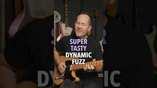 Video thumbnail for Low gain fuzzes are the best 🙌 | Kasleder The Toad by Kris Barocsi