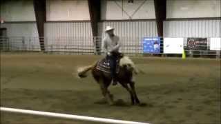 2014 WRHA Spring Fling~ Nu Steps To Cash