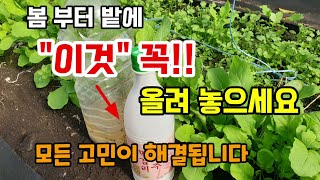봄부터 밭에 "이것" 꼭 올려 놓으세요 농사가 한결 편해집니다 벌레퇴치방법 숨비재