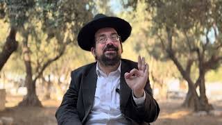 האם אין צדיק אחד במערכת המשפט הסדומית? - פרשת וירא | הרב אליהו ובר (ישיבת הר הבית) - התמונה מוצגת ישירות מתוך אתר האינטרנט יוטיוב. זכויות היוצרים בתמונה שייכות ליוצרה. קישור קרדיט למקור התוכן נמצא בתוך דף הסרטון האם אין צדיק אחד במערכת המשפט הסדומית? - פרשת וירא | הרב אליהו ובר (ישיבת הר הבית) - התמונה מוצגת ישירות מתוך אתר האינטרנט יוטיוב. זכויות היוצרים בתמונה שייכות ליוצרה. קישור קרדיט למקור התוכן נמצא בתוך דף הסרטון