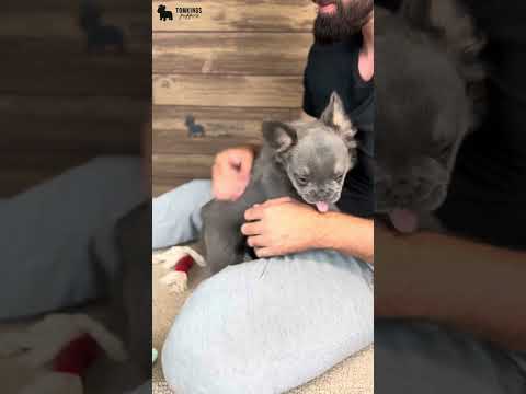 Video 4