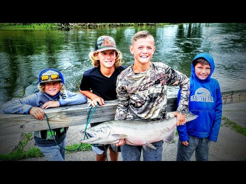 KING SALMON EARLY RUN - BOBBER DOWNS - GIANT SALMON THIS YEAR + SURPRISE CATCH + FIRST EVER CHINOOK!
