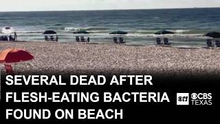 Download lagu At least 7 dead after flesh-eating bacteria found on Gulf coast beach mp3 Download lagu At least 7 dead after flesh-eating bacteria found on Gulf coast beach mp3