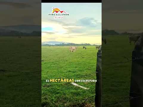 finca en paz de ariporo casanare, 150 hectáreas, #pazdeariporocasanare #fincaganadera #fincallanos