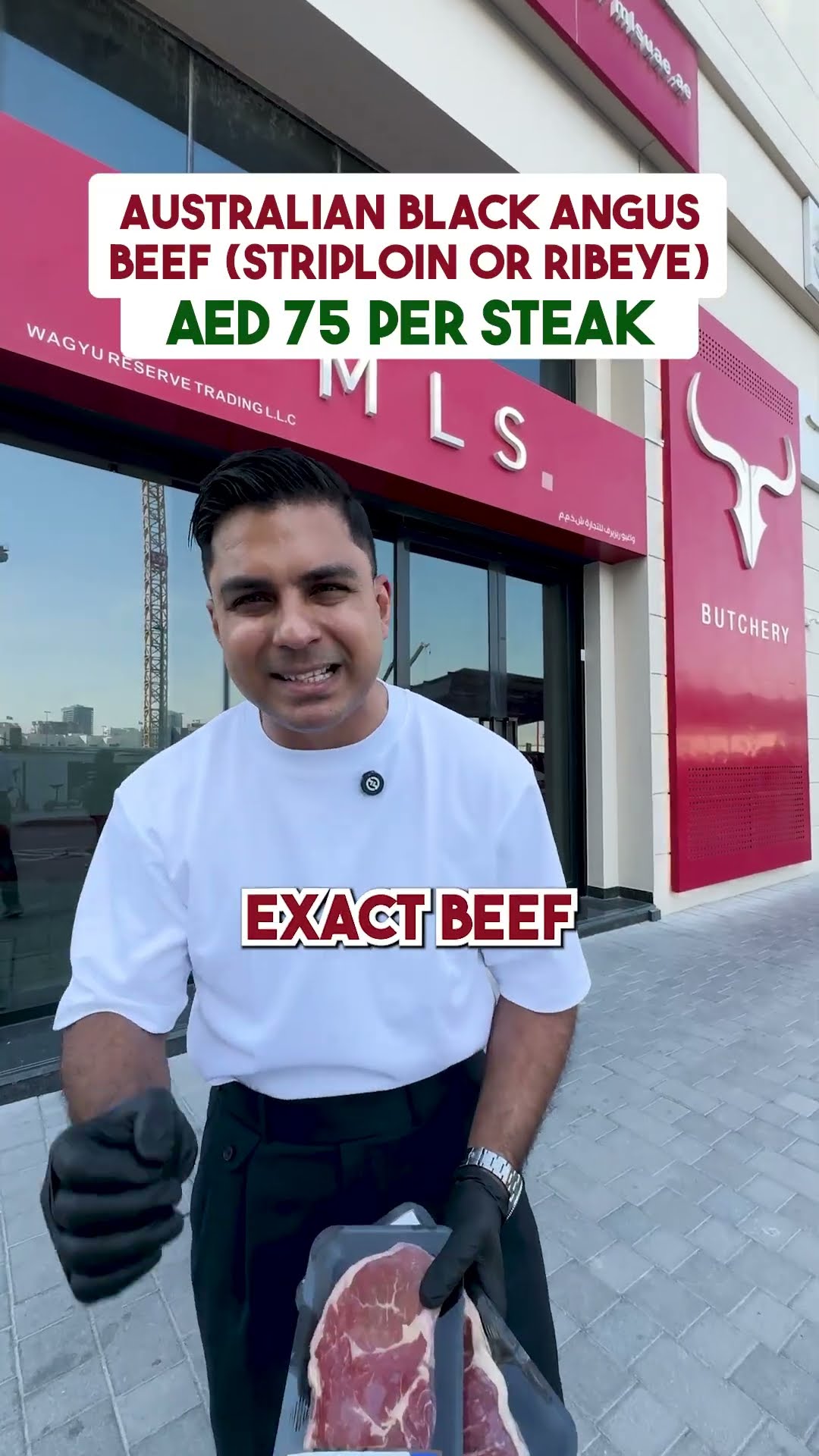 أنغوس أسترالي 4