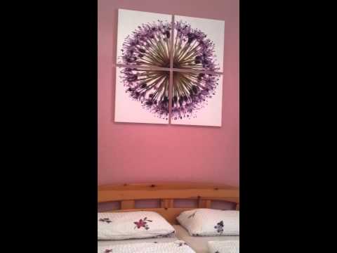 video-2012-02-16-16-29-37.mp4