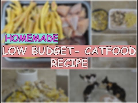 Homemade Cat Food Recipe - Low Budget!