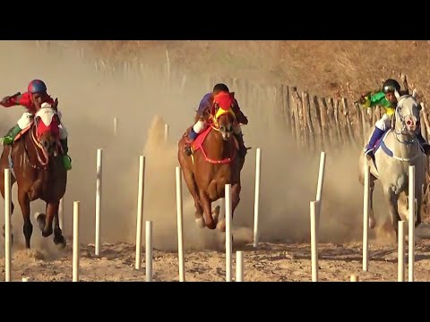 TRADICIONAL CORRIDA DE CAVALOS - RIBEIRA DO PIAUI 2025