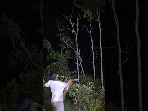 Ada burung pemangsa besar #hewanbesar #birds #shorts