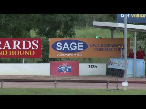 Darwin-19022017-race-2