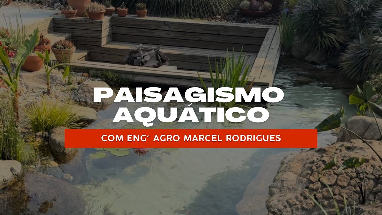 EP.8- PAISAGISMO AQUÁTICO