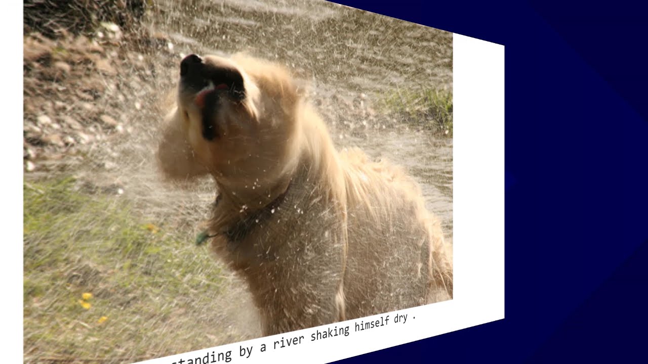 Image Captioning using NLP | Applied AI Lab