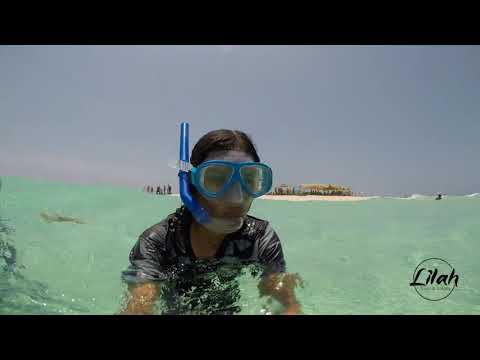 Nakupenda Sandbank (ZANZIBAR) Snorkeling🔥 - Namira