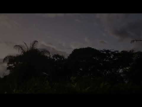 Herbie Hancock New Standard All Stars Holland, Dejohnette, M Brecker, Scofield, Alias, Vienna (1997)