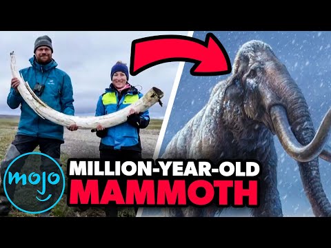 Top 20 Archeological Discoveries of The Century (So Far)