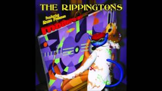 The Rippington {Love Story} Modern Art