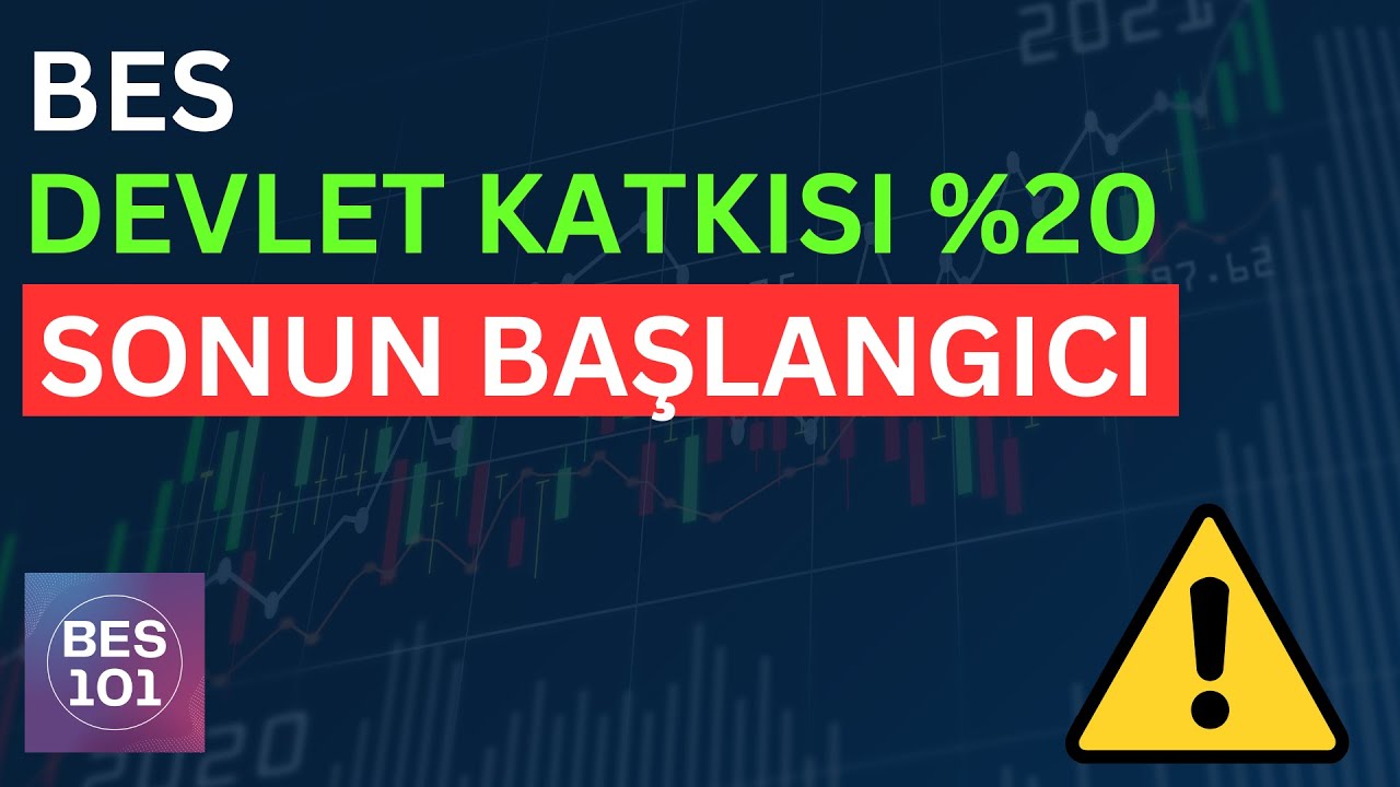 BES Devlet Katkısı Oranı %20'ye Düşürüldü!!! Şimdi Ne Yapmalıyız?