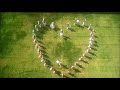 DVD Closing To Valantine S Day UK DVD