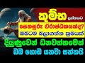 කුම්භ ලග්න හිමියනි ඒරාෂ්ඨක ජයගෙන 2025 ගො