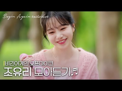 아이콘