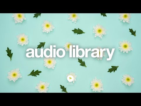 Spring – Ikson (No Copyright Music) Video