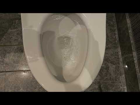 Rare Toto Neorest RH Smart toilet