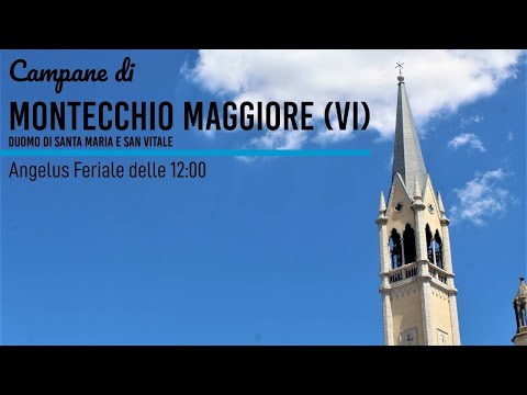 Campane di Montecchio Maggiore-Duomo di Santa Maria e San Vitale