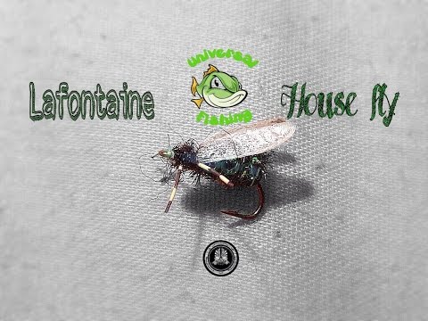 Lafontaine house fly