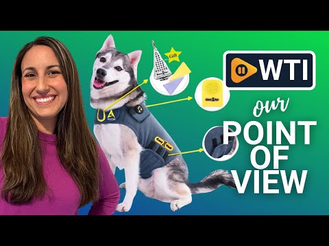 CozyVest Dog Anxiety Vest 3-in-1 Music & Aromatherapy Shirt - WTI product video review