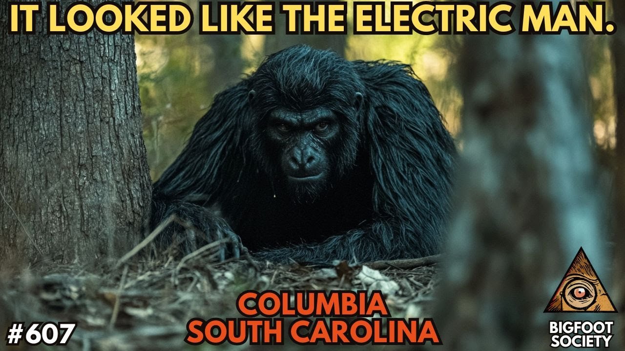 It Looked Like the Electric Man! | South Carolina