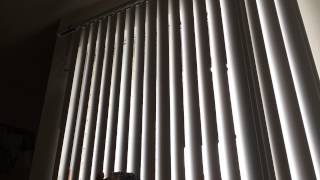 Shades drawn plays Matthew Sweet's "Dinosaur Act"