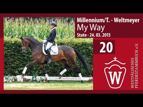 20 My Way  Stute v. Millennium/T. - Weltmeyer