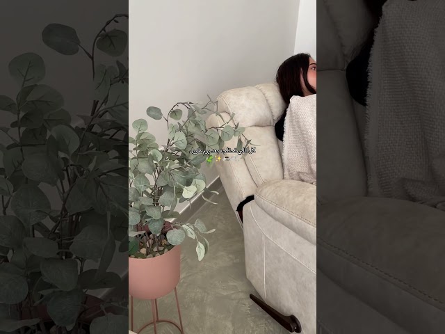 رويال - هزاز دوار مع اكواب - كريمي