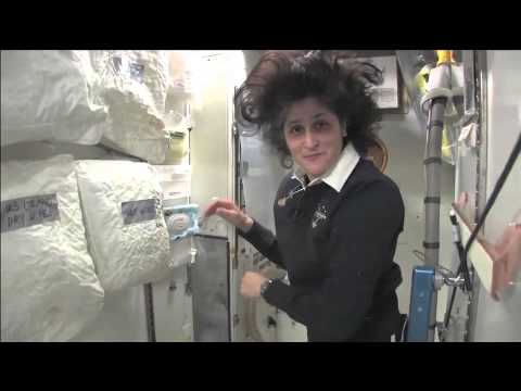 スペースポティ (Space Potty)