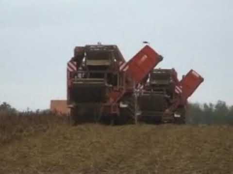 Vanacker: Aardappel rooien.