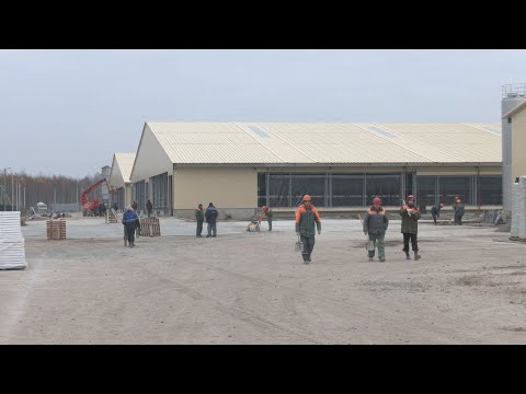У Жыткавіцкім раёне завершаецца будаўніцтва ўнікальнага жывёлагадоўчага комплексу видео