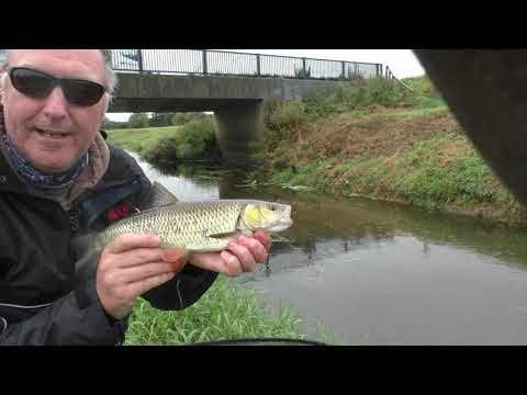 River Foss Chub Fishing