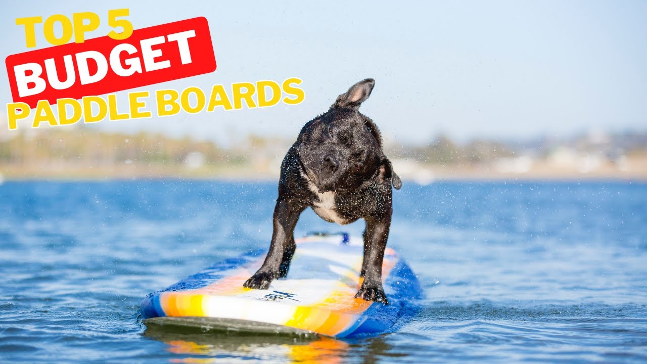 BEST CHEAP PADDLE BOARDS: 5 Budget SUP Boards [2024 Buying Guide]