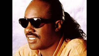 Stevie Wonder - Fun Day