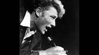 Johnny Hallyday - Mon vieux copain (+ Paroles) (yanjerdu26)