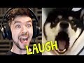 CHILD GETS SCARRED FOR LIFE | Jacksepticeye's Funniest Home Videos #4 CHILD GETS SCARRED FOR LIFE | Jacksepticeye's Funniest Home Videos #4