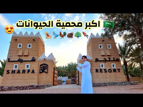 منتجع شرفا السياحي البيئي التراثي في حائل ١ | sharfa Tourist