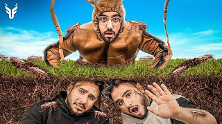 مقلبت التوأم و حولت فلة باور كلها صراصير! ???????? (الانتقام ????)