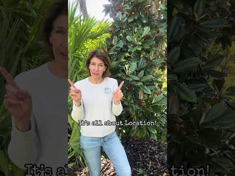 Guide to Choose the Right Magnolia Tree for You!