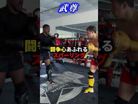武尊の闘争心あふれるスパーリング #キックボクシング