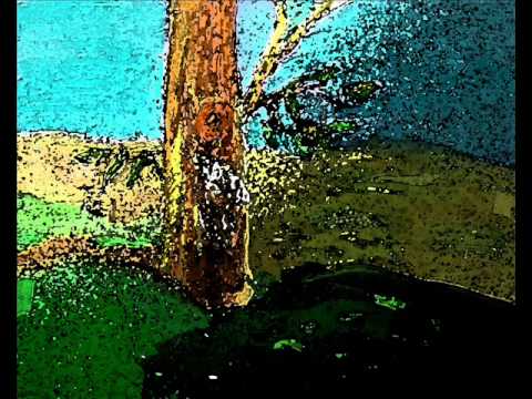 En el tronco de un árbol COMPAY SEGUNDO