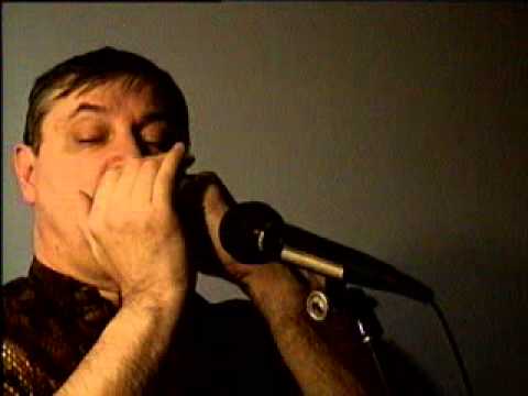 Jako kotě si příst (Jiří Grossmann - Harmonica