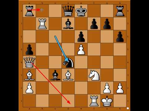 Neverovatna moglo bi se slobodno reći Besmrtna partija💥😎💥  WILLIAMS vs RAKHMAGULOVA #2993