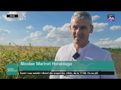 Staținea de cercetare Lovrin, teste în câmp: Hibrizi românești stabili în timpul secetei #digi24