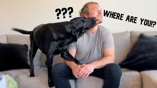 PRETENDING MY DOG IS INVISIBLE!!